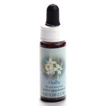 플라워에센스서비시즈 홀리 플라워 에센스, 7.5ml, 1개