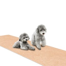 딩동펫 미끄럼방지매트 롤형, 베이지