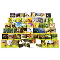 기탄자연관찰전집 전50권(하드커버), 기탄교육