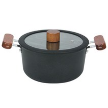 키친아트 FORT IH 인덕션 양수 냄비, 20cm, 혼합색상