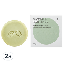 동구밭 올바른 샴푸바 중건성용, 2개, 120g
