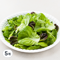 팜에이트 무농약 인증 유러피안 소프트 샐러드, 130g, 5개
