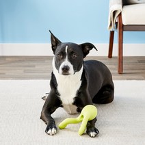 웨스트포우 티지 노즈워크 훈련용 강아지 장난감 L, 그린, 1개