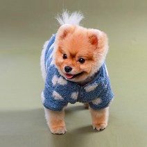 반려동물 동글 뽀글 점퍼 DWJ017, 블루