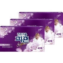 건조기용 피죤 시트 섬유유연제 미스틱레인 본품, 3개, 40매