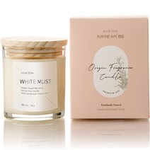에인디 핸드메이드 소이 심지없는 캔들 워머전용 280g, 화이트머스크, 1개