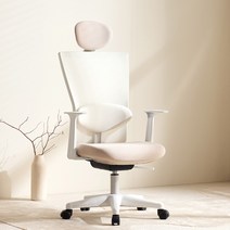 체어스코 네이처 사무용 컴퓨터 의자 허리받침세트, 베이지