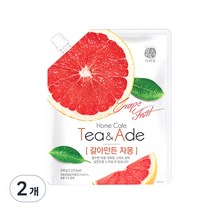 다미즐 갈아만든 자몽액, 500g, 1개입, 2개