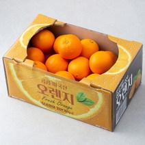 곰곰 미국산 오렌지, 5kg(16~26입), 1개
