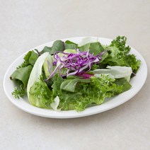 곰곰 한끼 간편 샐러드 채소, 80g, 1개