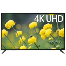 델리파스 4K UHD LED TV, 139cm(55인치), D55KUSEL65, 스탠드형, 자가설치