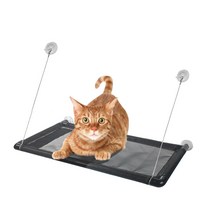 고양이 윈도우 해먹