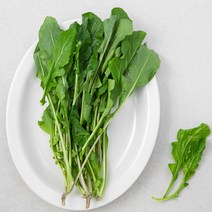 국내산 루꼴라, 30g, 1봉