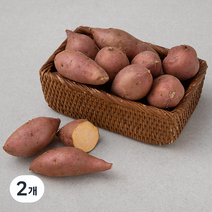 곰곰 국내산 한입 호박고구마(햇), 1.5kg, 2개