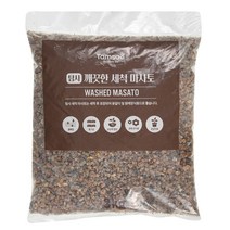 탐사 세척 마사토