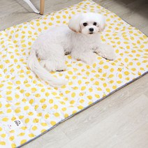 이츠독 인견 쿨링 매트, 상큼레몬