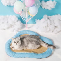 마브 강아지 고양이 구름 쿨방석, 블루