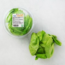 곰곰 친환경 버터헤드레터스, 90g, 1개