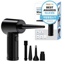 디씨네트워크 월윈드 차량용 초강력 무선 에어건 휴대용 가정용 먼지제거 51000RPM, 블랙, DC Wb AG-01