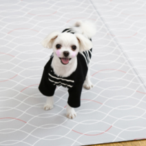 디오마레 라인 강아지매트 폴딩형, 혼합색상