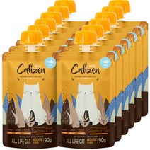 캣티즌 무스 짜먹는 고양이 간식 90g 12개, 참치, 1세트
