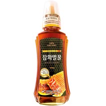 고려인삼 잡화벌꿀, 500g, 1개