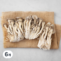 국내산 친환경 느타리버섯, 200g, 6개