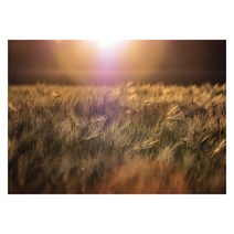 아티굿띵 북유럽 스타일 인테리어액자, art no. 0191
