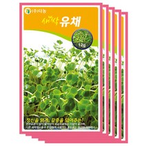 다농 새싹유채씨앗, 12g x 5팩, 1개