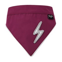 퍼피엔젤 어반 아웃도어 번개 강아지 스카프 L, 퍼플, 1개