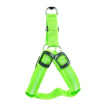 팻코디 컬러 LED 애견 가슴줄 그린, 1개