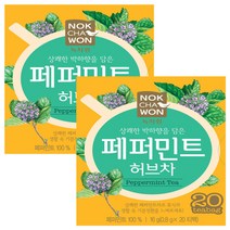 녹차원 페퍼민트 허브차 20p, 0.8g, 20개입, 2개