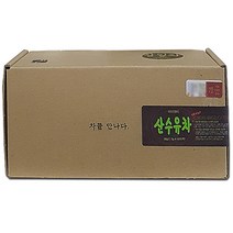 아이앤티 산수유차, 1g, 50개