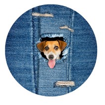 리빙팝 청바지 켓 원형 발 매트, 11 type