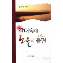 갈대숲에 노을이 들면:전주익 시집, 신세림, 전주익 저