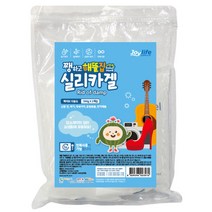 쨍하고해뜰집 실리카겔 액티브다용도 습기제거제 부직포 500g x 2p, 1개