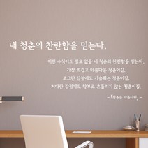 디자인엠 청춘 캘리그라피 스티커, 화이트