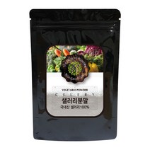 성보식품 샐러리 분말 국내산, 600g, 1개
