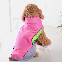 제제펫 형광 포인트 배색 반려견비옷, Y304PDFC004