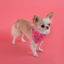 유아러피치 반려동물 삼각 도트 스카프 L, 핑크, 1개