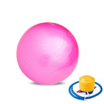 웰블러썸 안티버스트 짐볼 + 전용펌프, 핑크