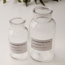 리버그린 시약병 넓은입구 2p세트 250ml + 500ml, 투명