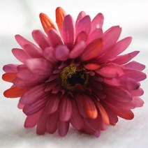 블럭마트 조화 거베라 국화꽃 5p, 라이트와인