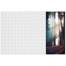 앤비커머스 인테리어 타공판 고요한숲 우 WHITE, 1개