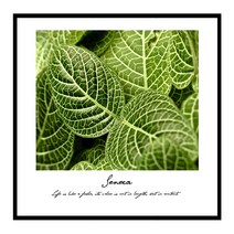 북유럽 캔버스액자 BOT0015 CA 정사각형, 메탈블랙