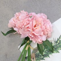 블랙앤화이트 인테리어 디자인 조화 작약가지 5p, 핑크