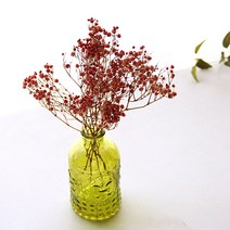 리버그린 안개꽃 드라이플라워 그린화병세트, 네츄럴핑크