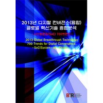 2013년 디지털 컨버전스(융합) 글로벌 혁신기술 종합분석 세트: 시스템온칩(SoC) 700트랜드, 비아이알, 비아이알(BIR) 편집부 지음