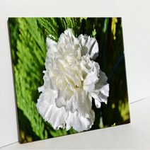 유디피 타일액자 A형, 3913261