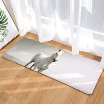 이지웜 지브라 발매트, A-7